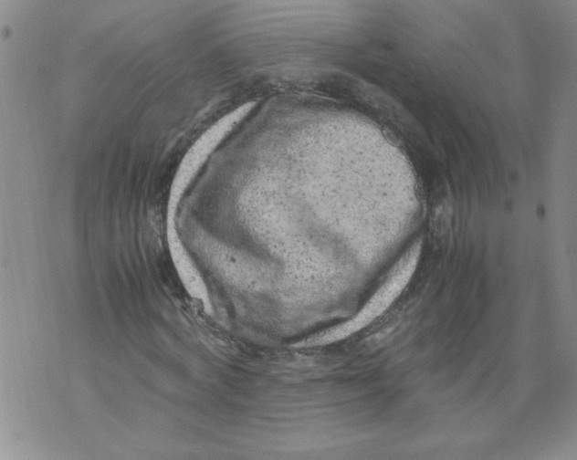 X0000072550772200608041647