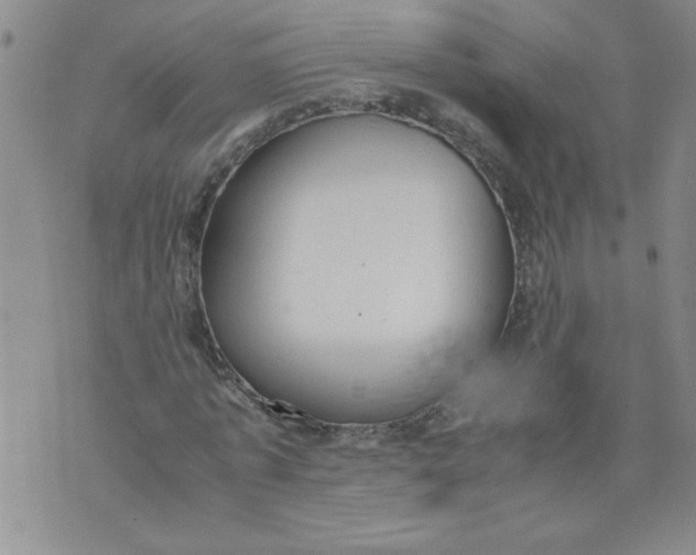 X0000072550773200608041647