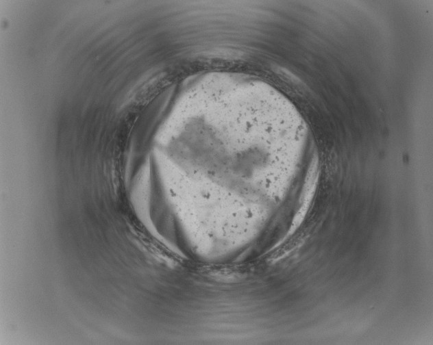 X0000072550774200608041647