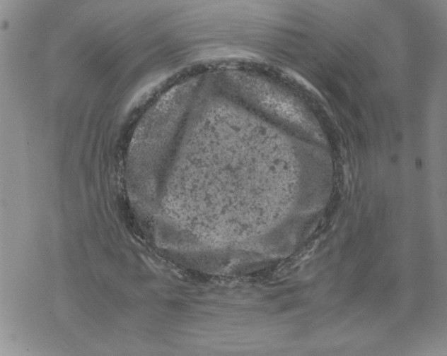 X0000072550775200608041647