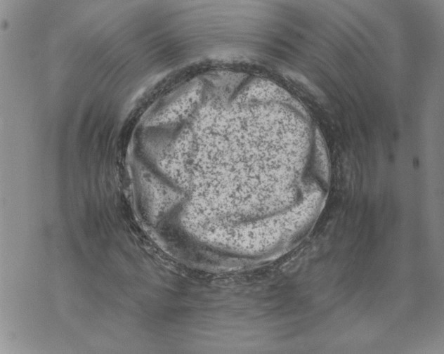 X0000072550776200608041647