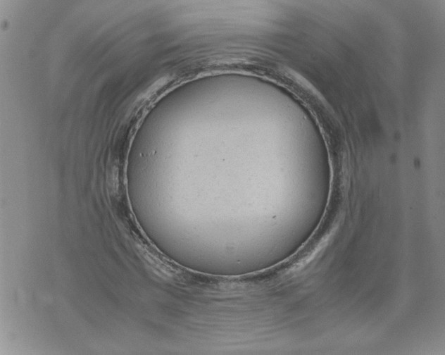 X0000072550777200608041647