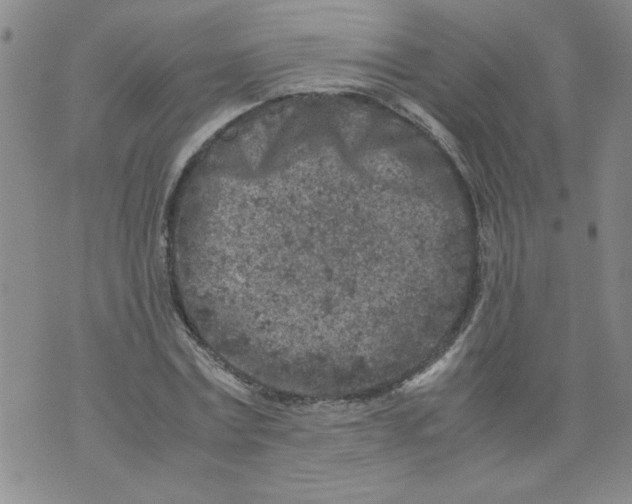 X0000072550779200608041647