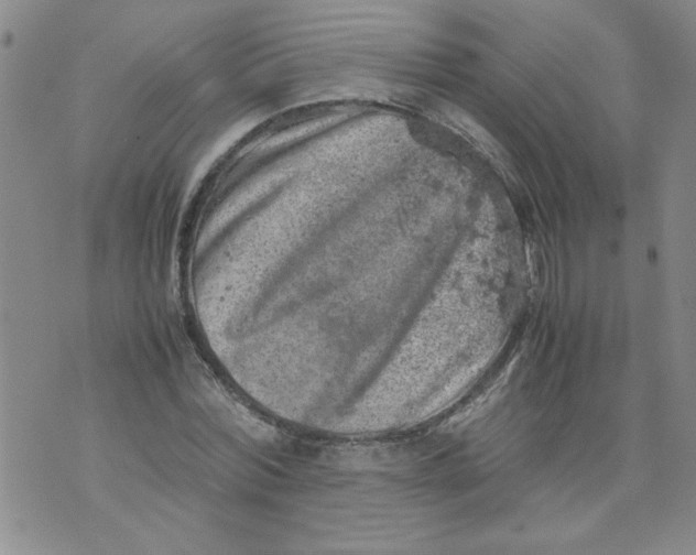 X0000072550780200608041647