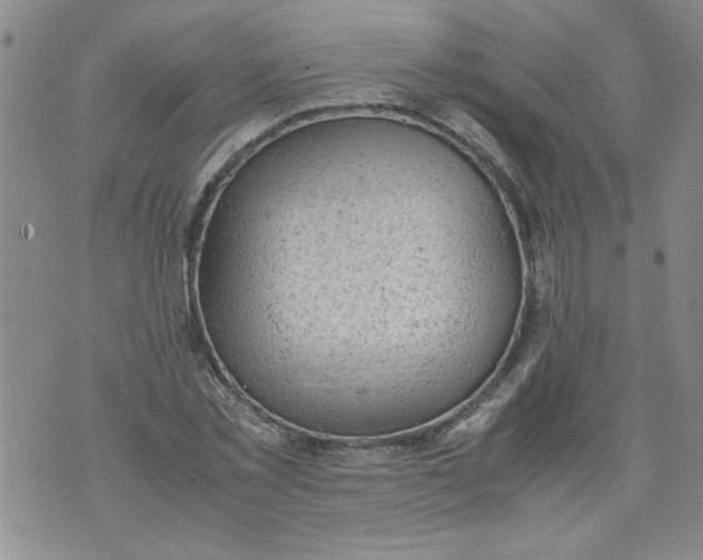 X0000072550781200608041647