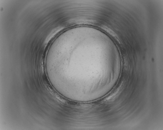 X0000072550782200608041647