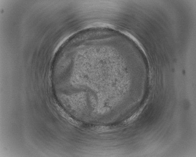 X0000072550783200608041647