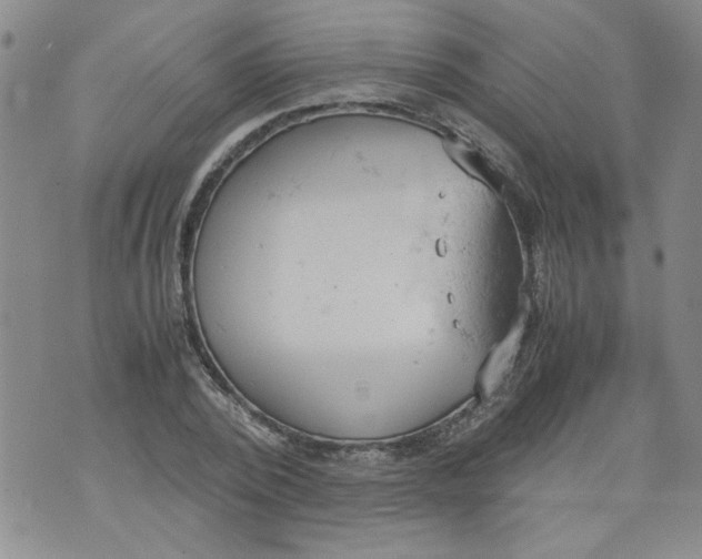 X0000072550784200608041647