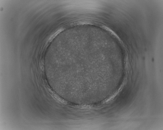 X0000072550785200608041647