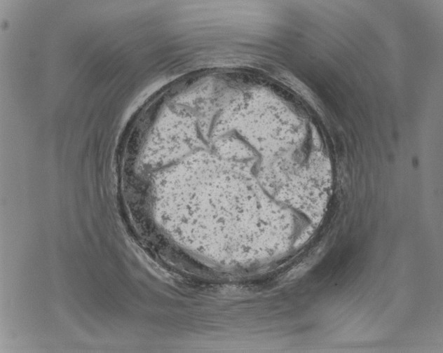 X0000072550787200608041647