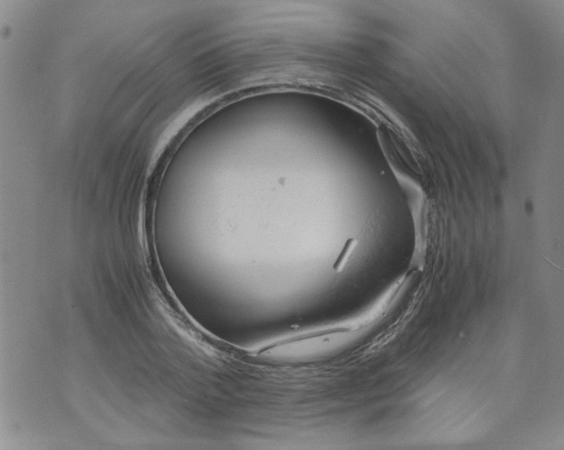 X0000072550788200608041647