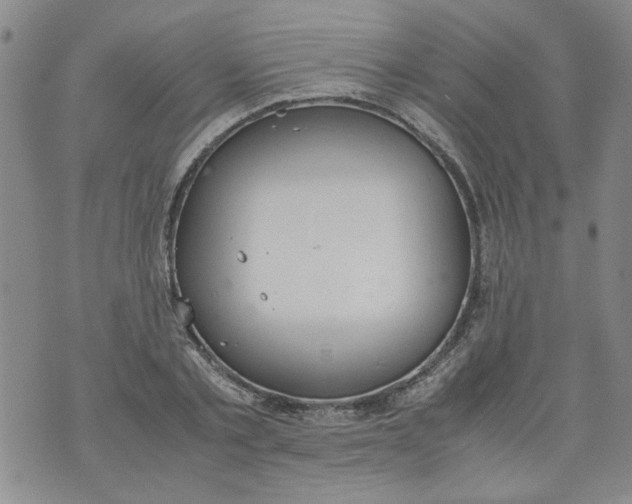 X0000072550789200608041647