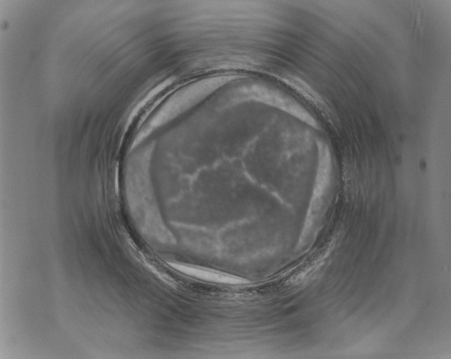 X0000072550790200608041647