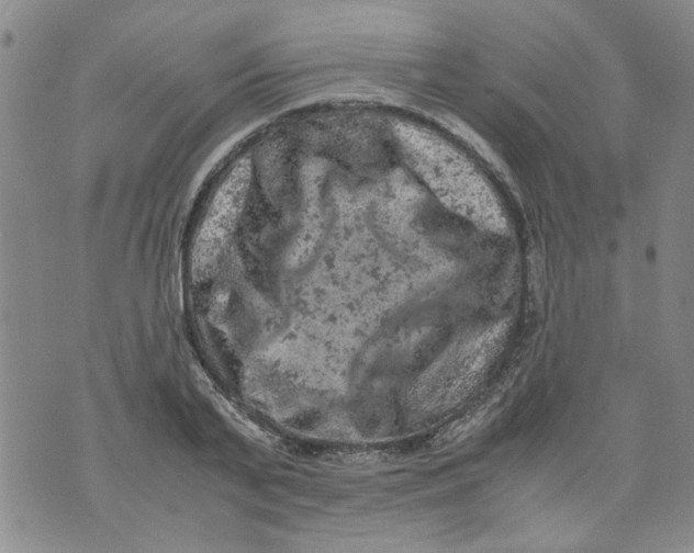 X0000072550791200608041647