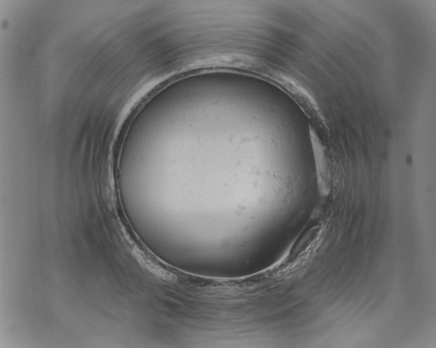 X0000072550792200608041647