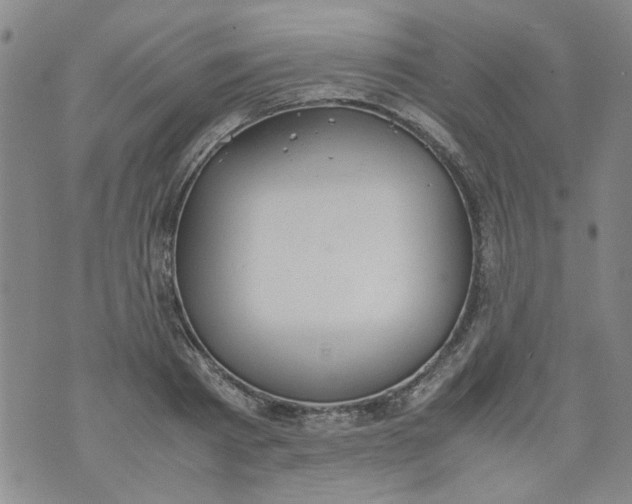 X0000072550793200608041647