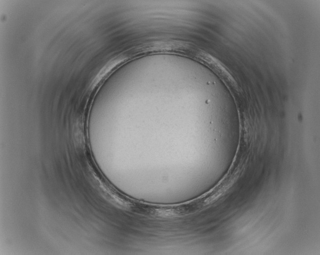 X0000072550794200608041647