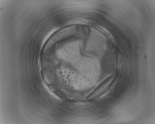 X0000072550796200608041647