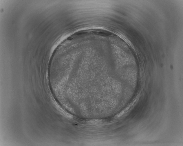 X0000072550797200608041647