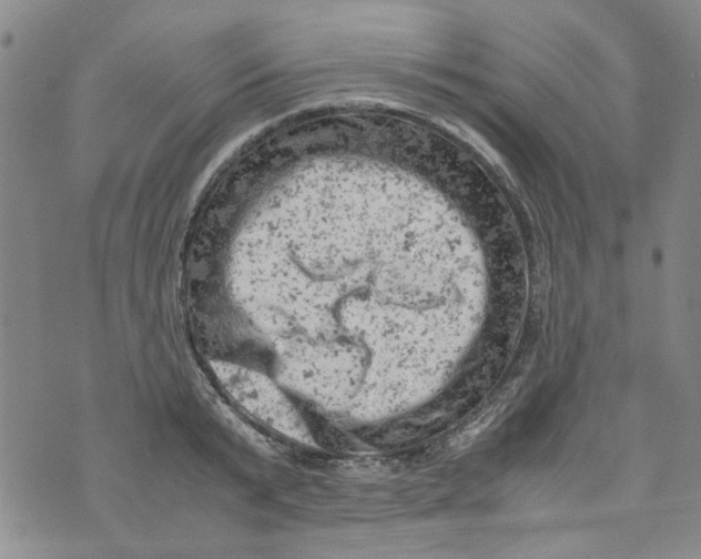 X0000072550799200608041646