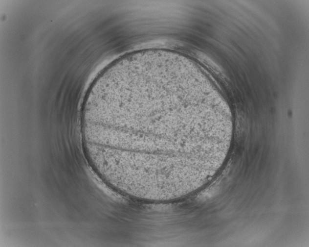 X0000072550800200608041646