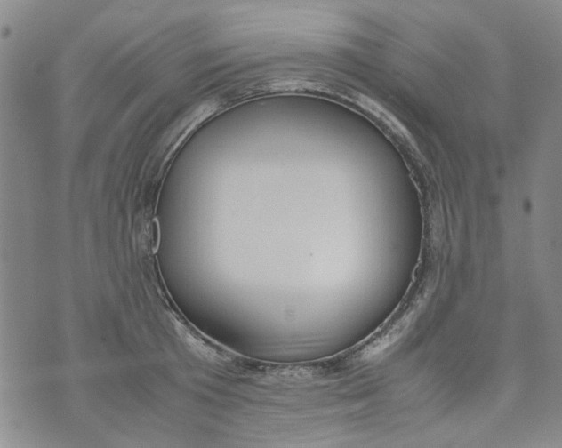 X0000072550801200608041646