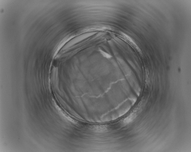 X0000072550802200608041646