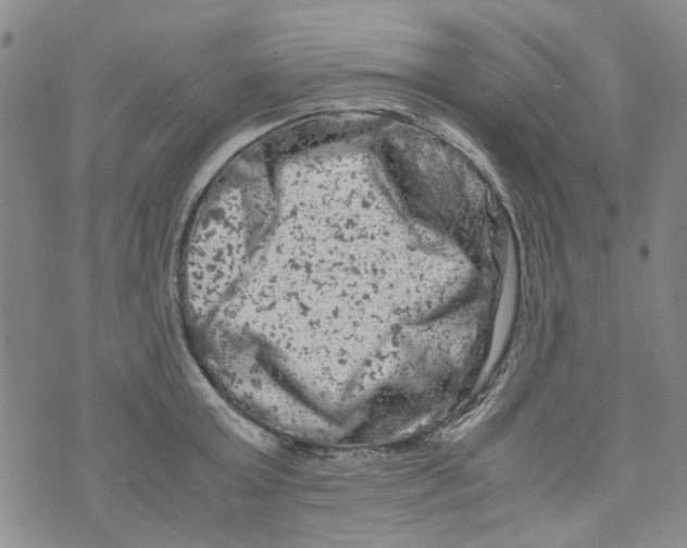 X0000072550803200608041646