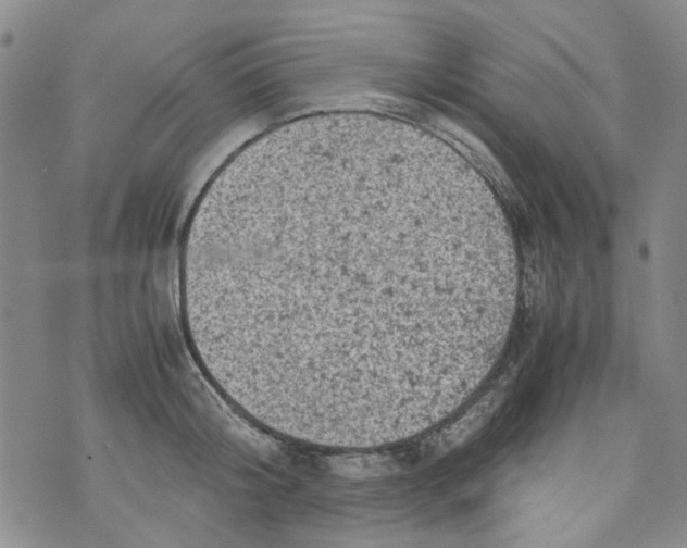 X0000072550804200608041646