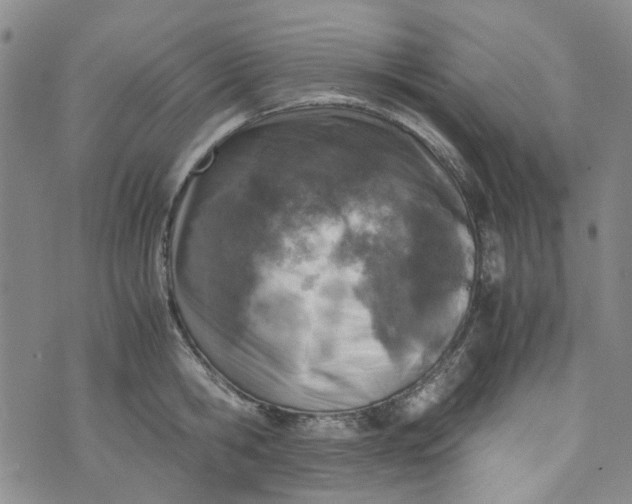 X0000072550806200608041646