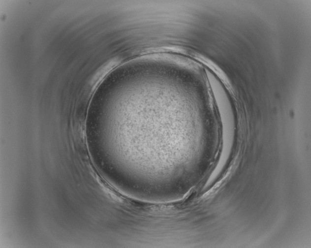 X0000072550809200608041646