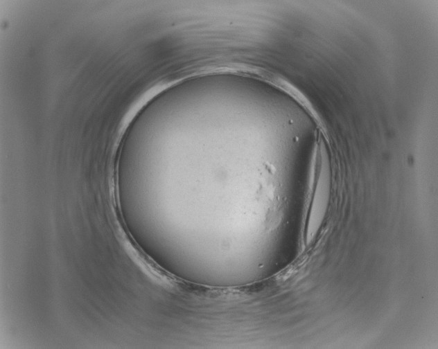 X0000072550811200608041646