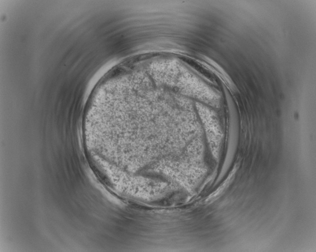 X0000072550812200608041646