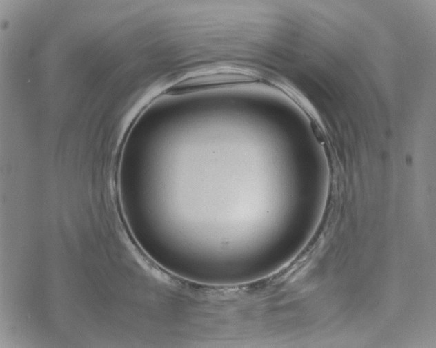 X0000072550813200608041646