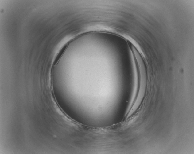 X0000072550815200608041646