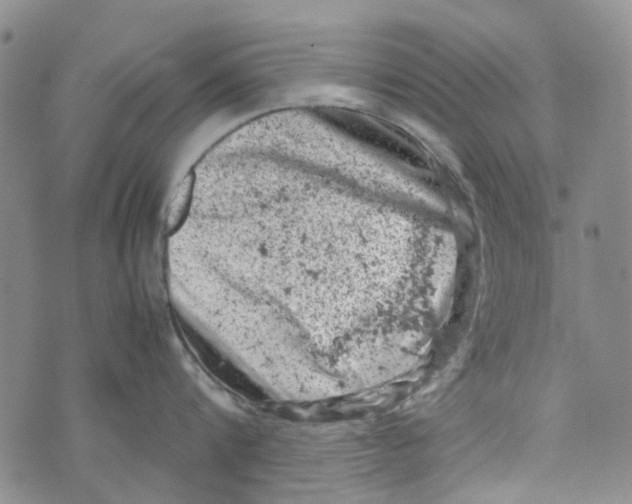 X0000072550816200608041646