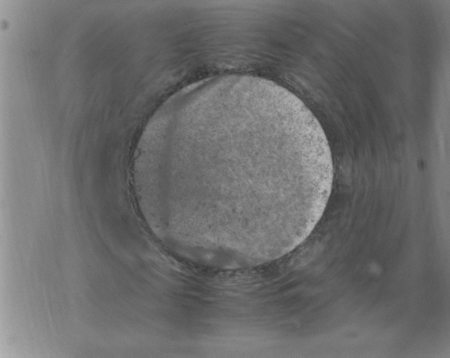 X0000072550817200608041645