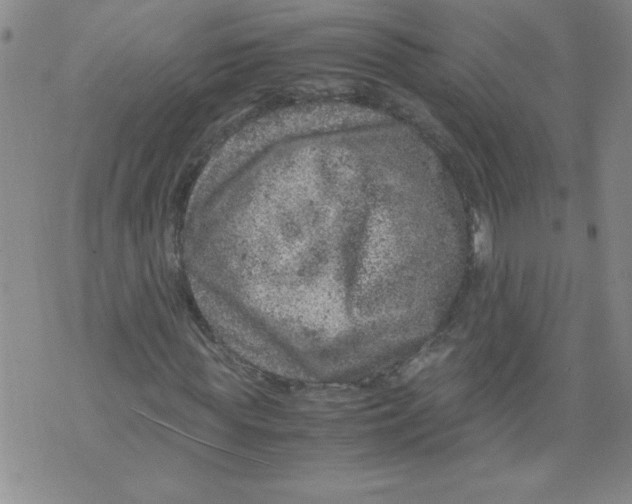 X0000072550819200608041645