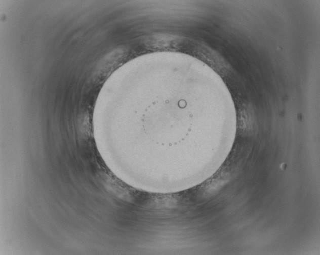 X0000072550820200608041645