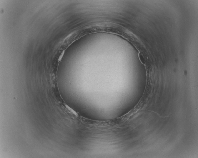 X0000072550822200608041646