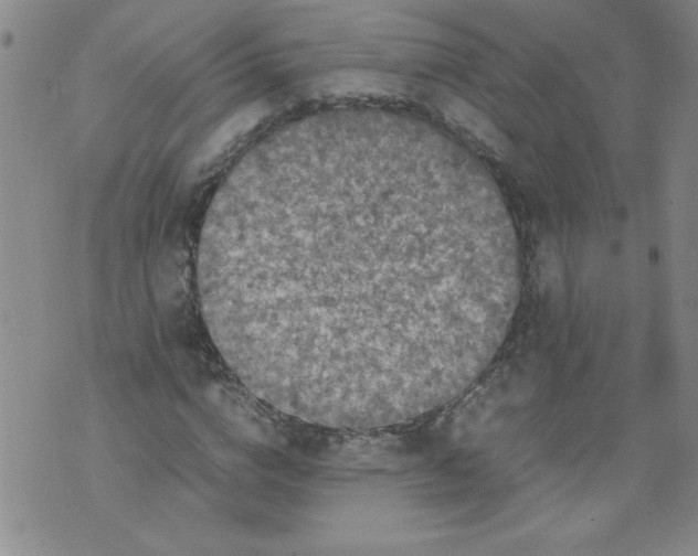 X0000072550824200608041646