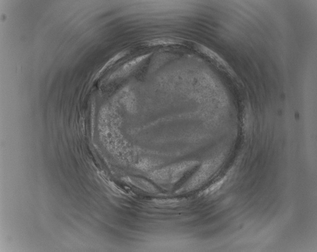 X0000072550825200608041646