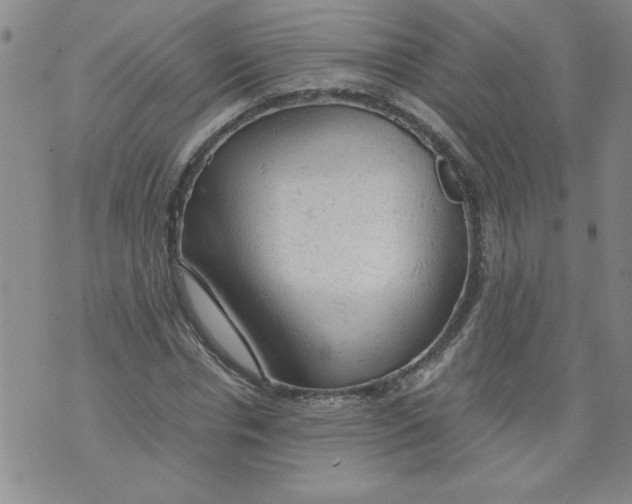 X0000072550826200608041646