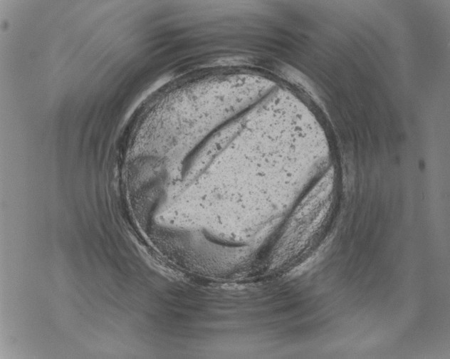 X0000072550827200608041646