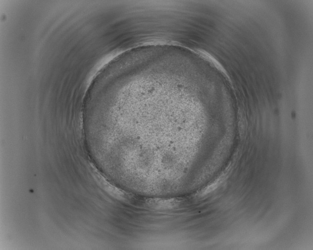 X0000072550831200608041646