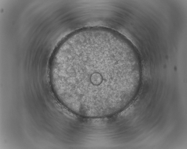 X0000072550832200608041646