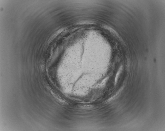 X0000072550833200608041646