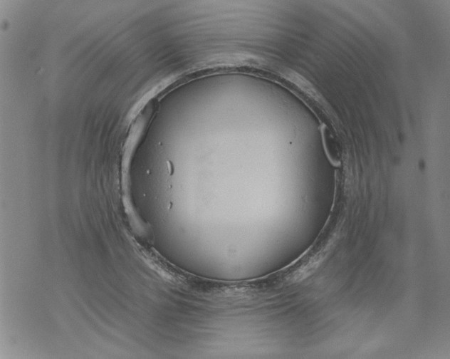 X0000072550834200608041646