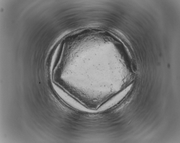 X0000072550835200608041646