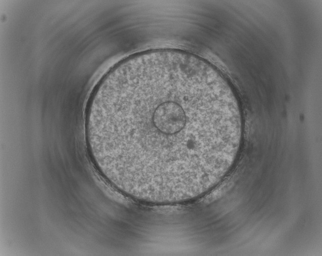 X0000072550836200608041646